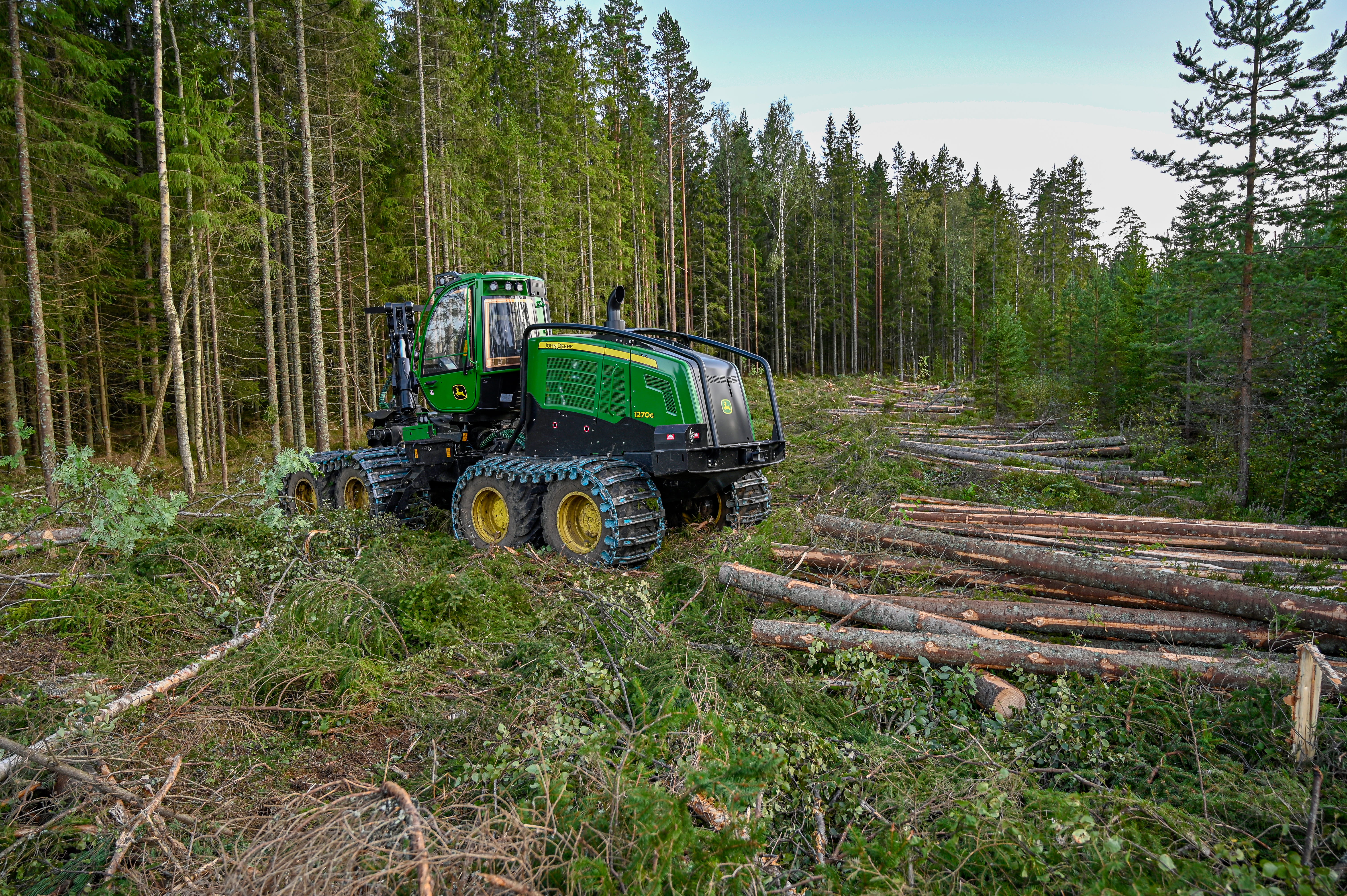 A forwarder harvester clears trees in the woods.